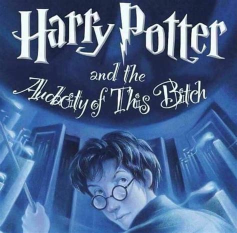 harry potter and the audacity of this b meaning
